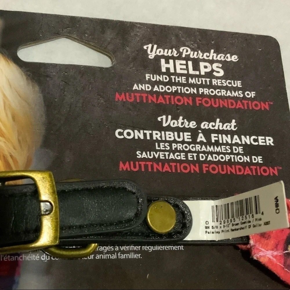 Mutt Nation Leather Collar Buckle with Slip on Bandana Small Up to 20 LB Pet